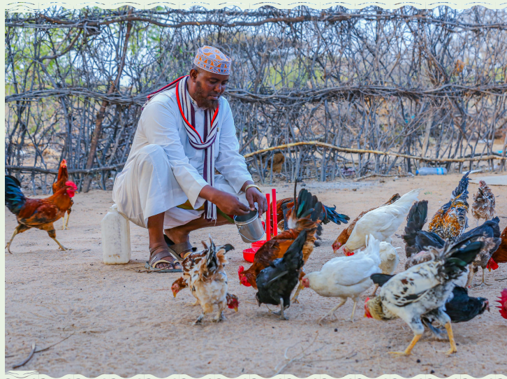 Abdillahi’s Fowls of Fortune